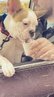 Starbucks drink