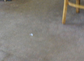 Wendy's drink