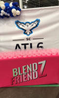Blendz Friendz logo