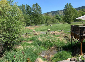 Wy'east Vineyards outside