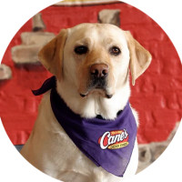 Raising Cane's Chicken Fingers food