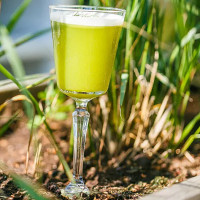 Tommy's Dutch Lunch drink