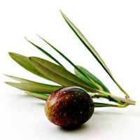Village Mediterranean Rim drink