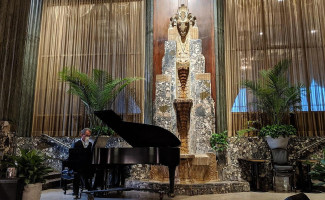 Orchids at Palm Court inside