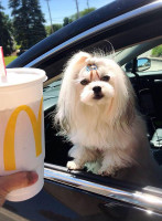 Mcdonald's drink