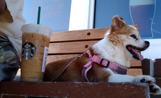 Starbucks drink