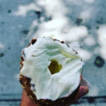 La Diperie Monkland drink