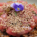 Lantern House Kitchen food