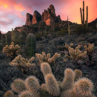 Novanta Pizzeria Napoletana outside