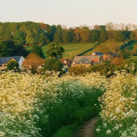 Pacific Rim By Kana outside