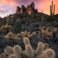 Pacific Rim By Kana outside