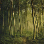 Kaben Coffee outside