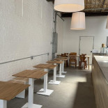 Three Legged Cat inside