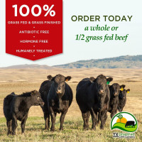 Tx Grassfed Cattle Company menu