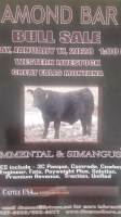 Diamond S Black Simmental Simangus Bulls menu