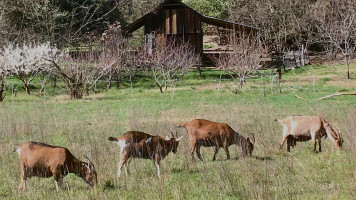 Sandy Ranch outside