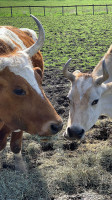 Catskill Animal Sanctuary outside