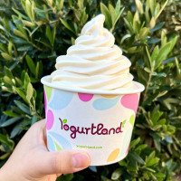 Yogurtland Arvada drink