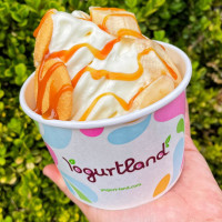 Yogurtland Arvada drink