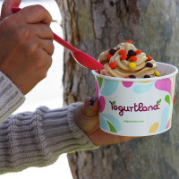 Yogurtland Arvada drink