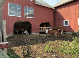 Wells Hollow Creamery outside