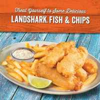 Landshark Grill Lake Of The Ozarks food