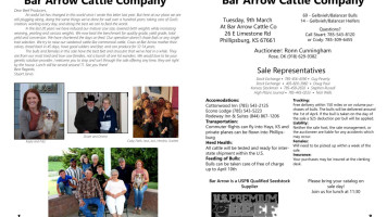 Arrow Cattle Company menu