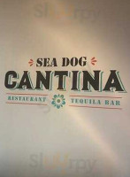 Sea Dog Cantina Gulfport logo