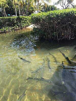 Islamorada Fish Company outside