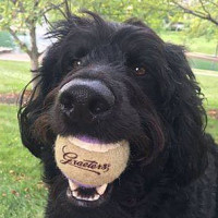 Graeter's Ice Cream outside