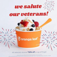 Orange Leaf Frozen Yogurt logo