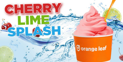 Orange Leaf Frozen Yogurt logo