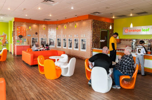 Orange Leaf Frozen Yogurt inside