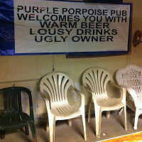 The Purple Porpoise Pub inside