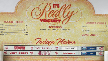 Its Really Yogurt menu