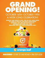 Orange Leaf Frozen Yogurt menu