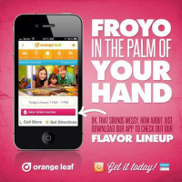 Orange Leaf Frozen Yogurt menu