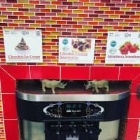 Rhino's Frozen Yogurt Soft Serve menu