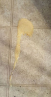 La Michoacana Ice Cream drink