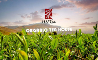 Hntea Organic Tea House Tustin drink