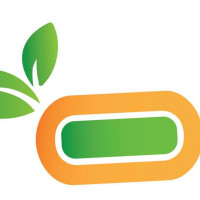 Organic Juice Gyros logo