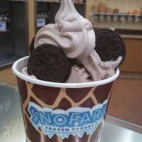 Snofari Frozen Yogurt drink