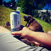 Five Shores Brewing drink