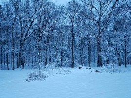Pine Grove outside