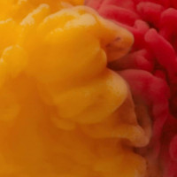 Francisco's Market Deli drink