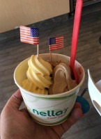 Nella's Frozen Yogurt drink