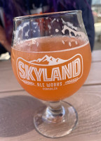 Skyland Ale Works drink