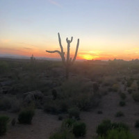 Troon North Golf Club outside