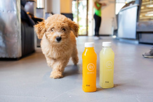 Raw Juce Jupiter Alton Town Center drink