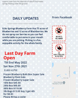 Echo Springs Blueberry Farm menu